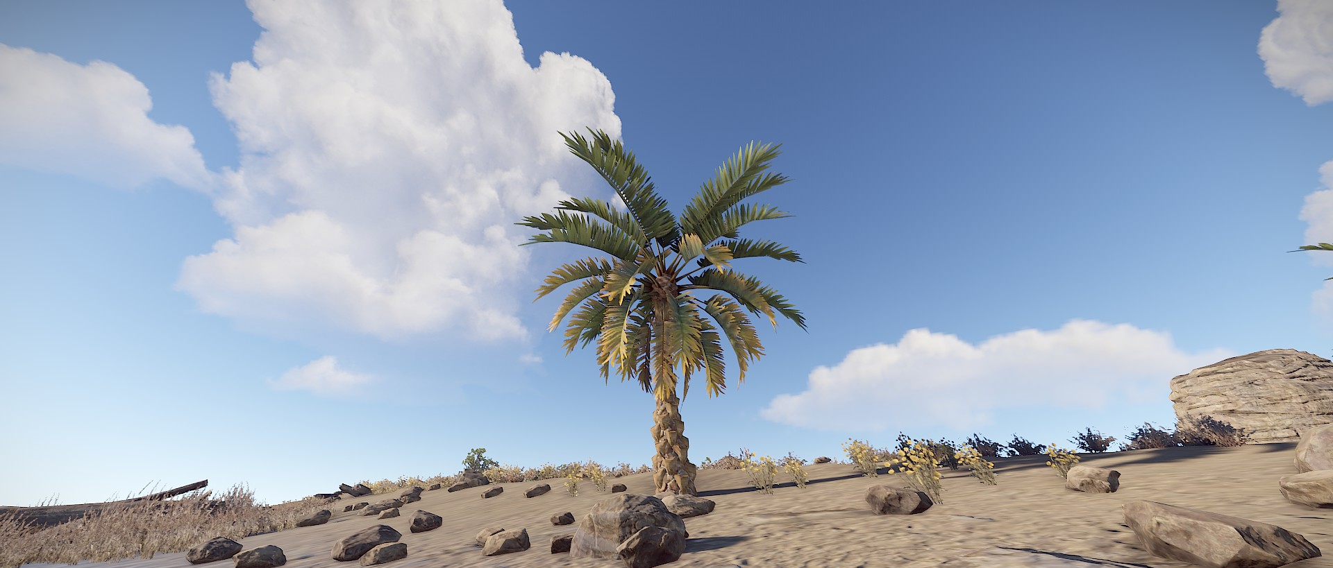 Palm tree beneath a blue sky on a Together We Rust server